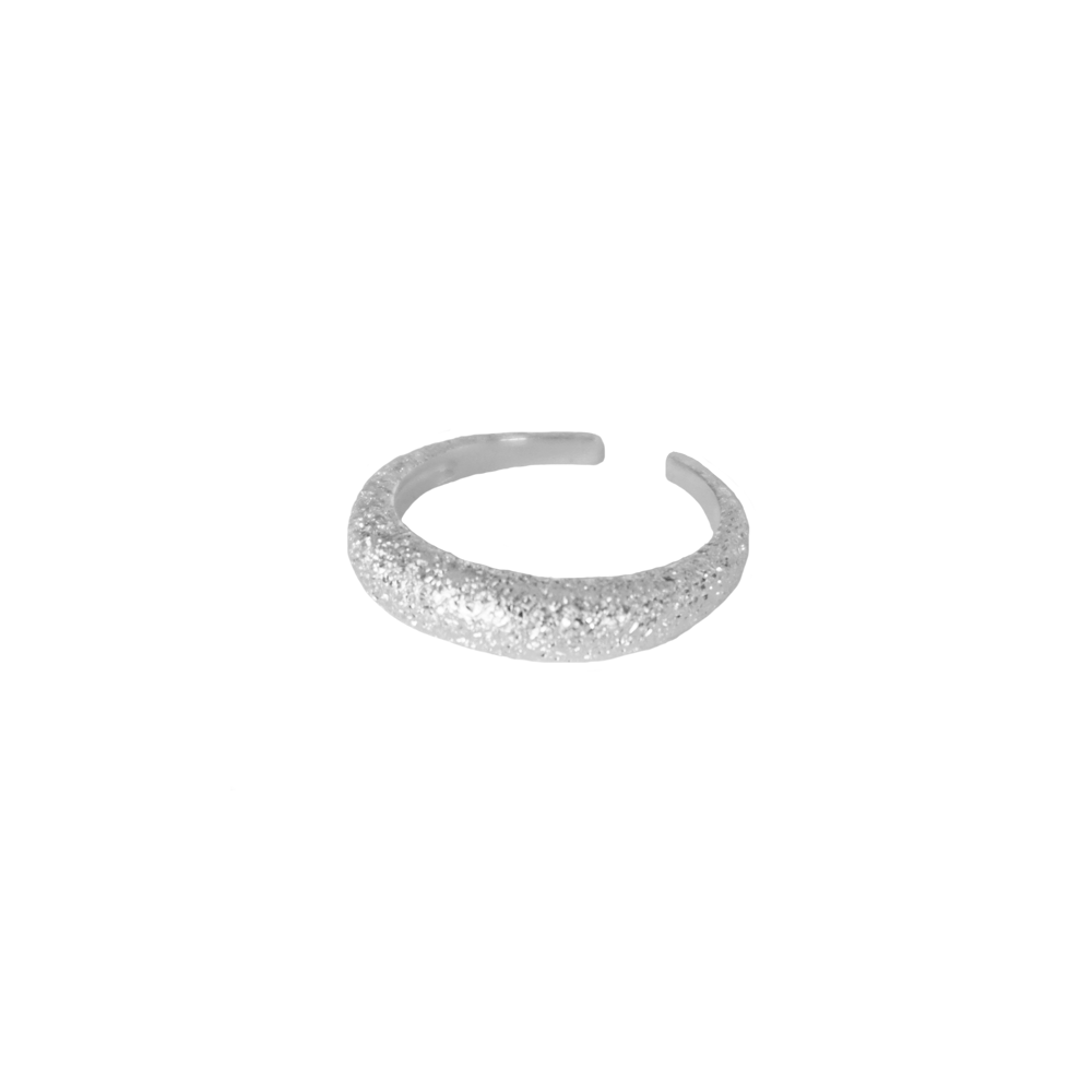 Monochrome-Sparkling-Ring-Silver
